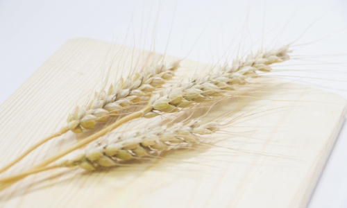 【ハンドケアコラム】 小麦中心の食生活で指が曲がる！？（2019/10/15 更新）