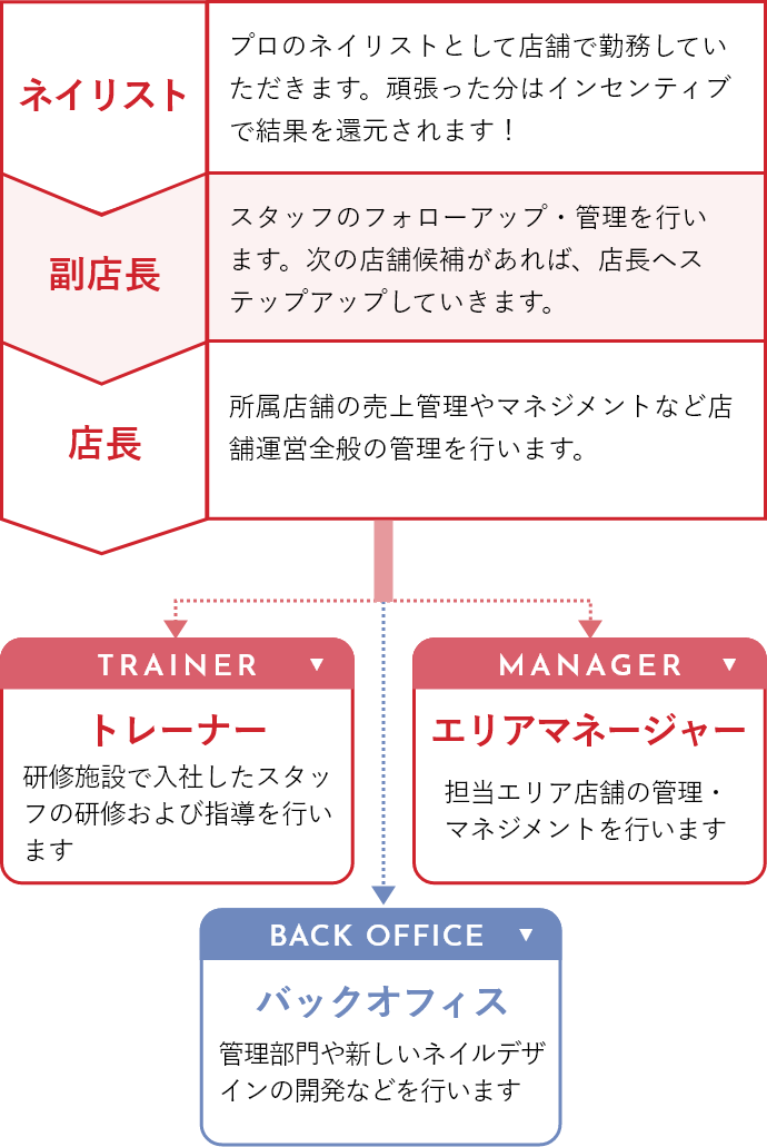 キャリアパス