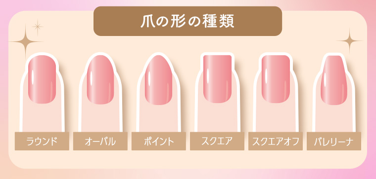 爪の形の種類
