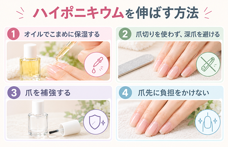 ハイポニキウムを伸ばす方法
